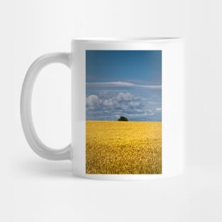 Golden harvest and blue sky Mug